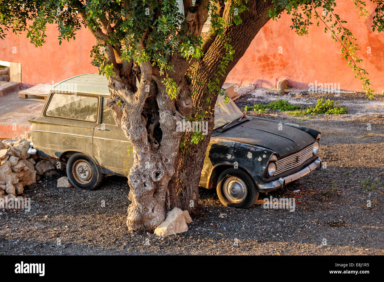 Vecchia auto abbandonate sotto agli alberi Foto Stock