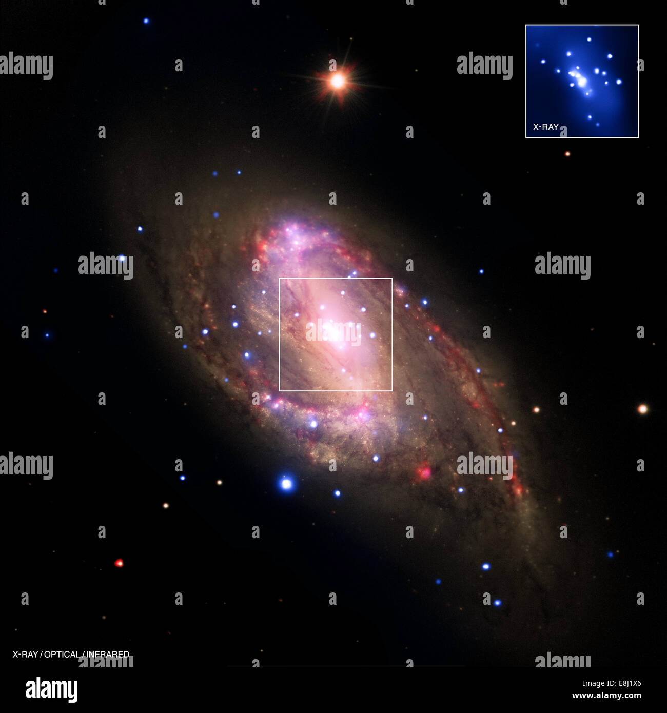 NGC 3627 è una galassia a spirale situata a circa 35 milioni di anni luce dalla Terra nella costellazione del Leone. È un esempio importante di galassia a spirale barrata, che offre preziose informazioni sulla formazione e la struttura galattica. Foto Stock