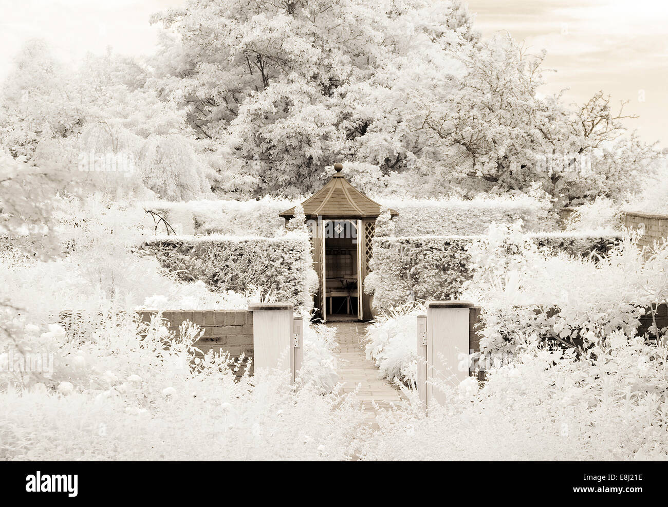 Fotografia a infrarossi di un classico giardino inglese il percorso che conduce al summerhouse a Wollerton Old Hall (NGS) Market Drayton in SHR Foto Stock