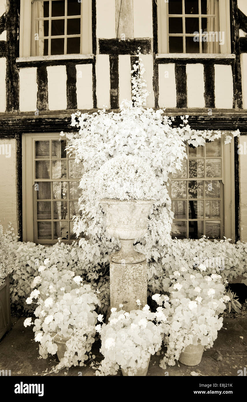 Fotografia a infrarossi di un classico giardino inglese, urna sul plinto a Wollerton Old Hall (NGS) Market Drayton nello Shropshire presto su Foto Stock