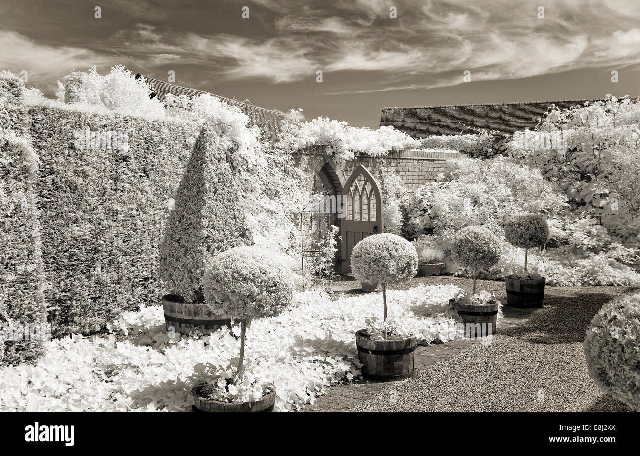 Fotografia a infrarossi di un classico giardino inglese, la casella le sfere e le Piramidi nel giardino murato a Wollerton Old Hall (NGS) Mercato Dray Foto Stock