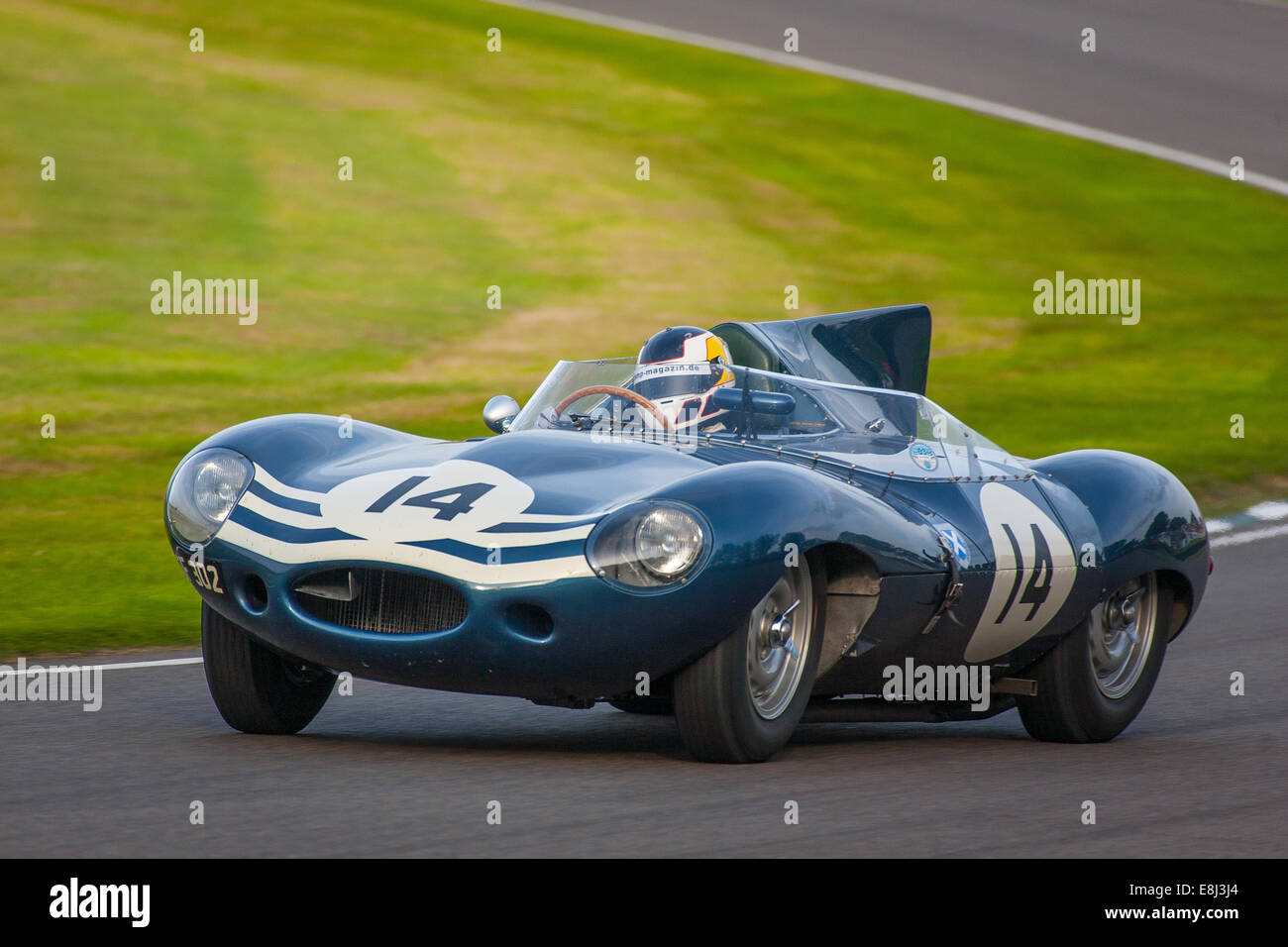 Christian Glasel in Jaguar D Type Race al Goodwood 2014, West Sussex, Regno Unito Foto Stock