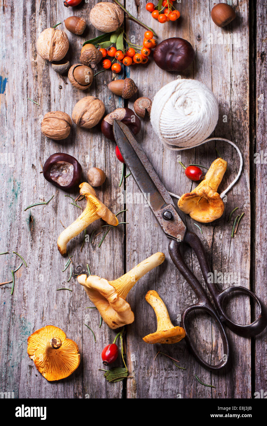 Finferli, dadi e bacche con forbici vintage e filettatura su sfondo di legno. Foto Stock