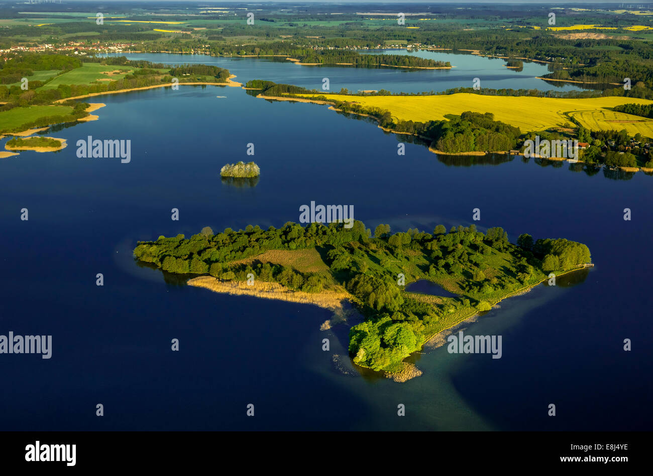 Krakower Seenlandschaft con Liepse Isola, lakeland riserva naturale, Kuchelmiß, Meclemburgo Lake District Foto Stock