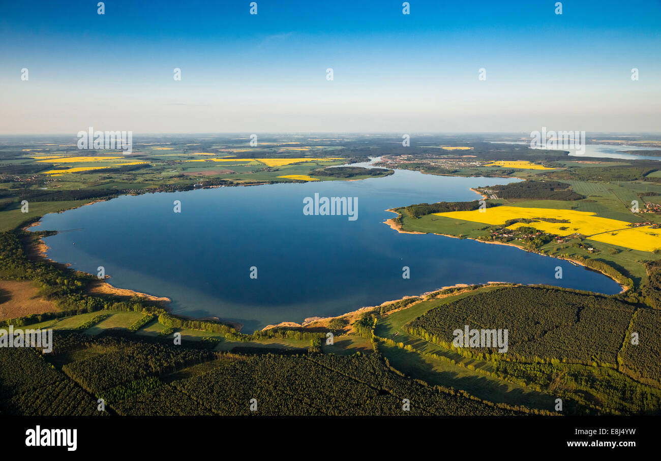 Vista aerea, Fleesensee lake, vicino a Malchow, Meclemburgo Lake District, Meclemburgo-Pomerania Occidentale, Germania Foto Stock