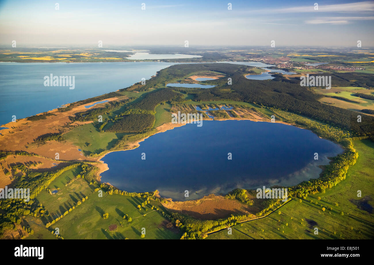 Vista aerea, Waren National Park, Waren, Meclemburgo Lake District o Mecklenburg Lakeland, Meclemburgo-Pomerania Occidentale Foto Stock
