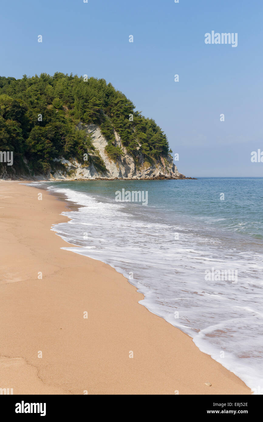 Spiaggia a Kapisuyu, Mar Nero, Bartın Provincia, Regione del Mar Nero e la Turchia Foto Stock