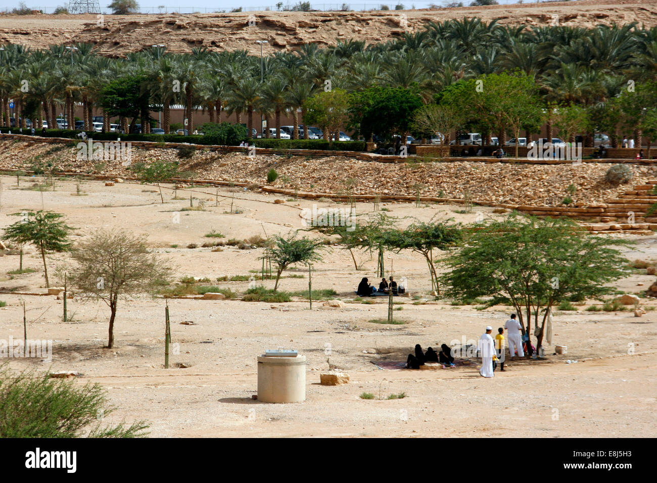 La gente del luogo avente un pic-nic sotto l'ombra degli alberi nel Wadi Hanifa, vicino a Riyadh, Arabia Saudita Foto Stock