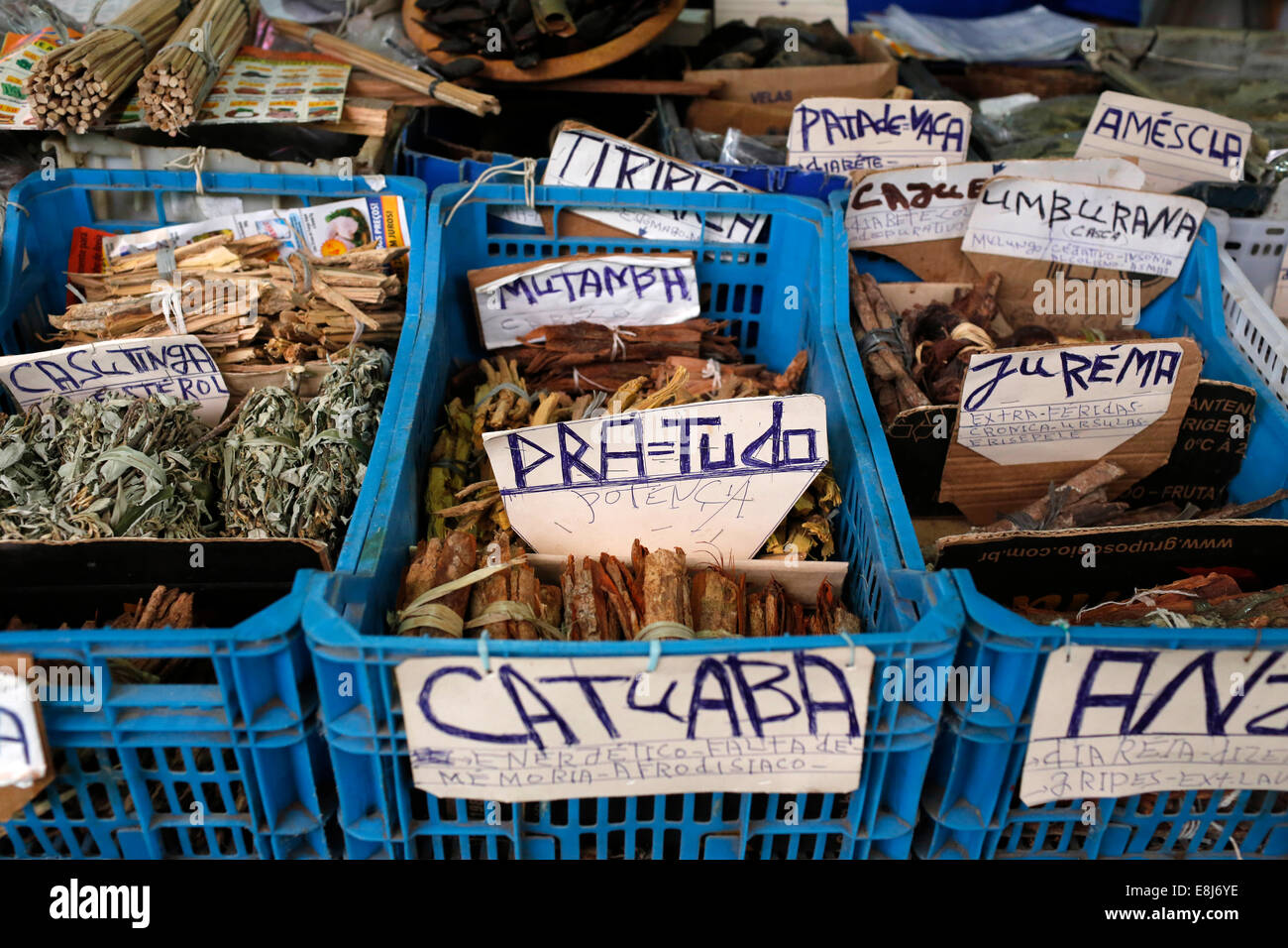 Medicina di erbe Foto Stock