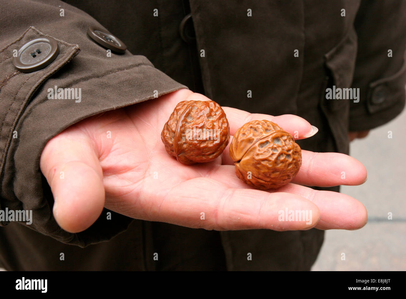 Wallnuts simboleggia Ying e Yang Foto Stock