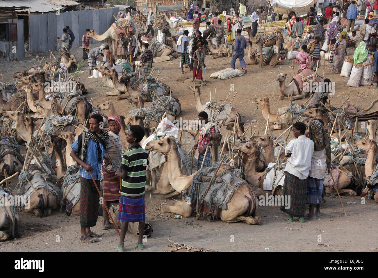 Bati mercato Afar Foto Stock
