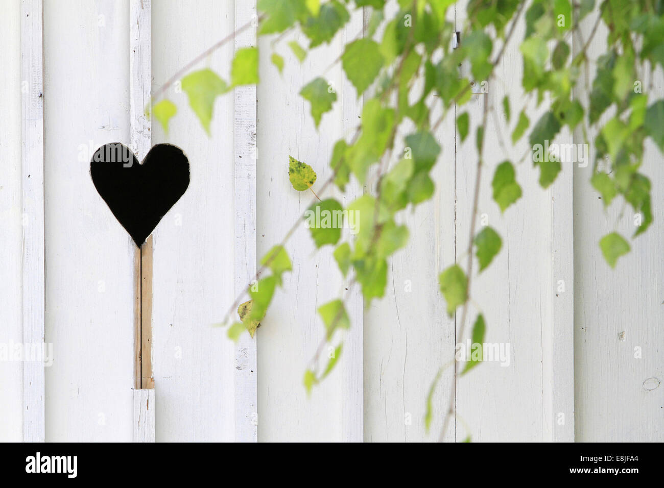 Foro nella forma di cuore su una porta bianca. Foto Stock