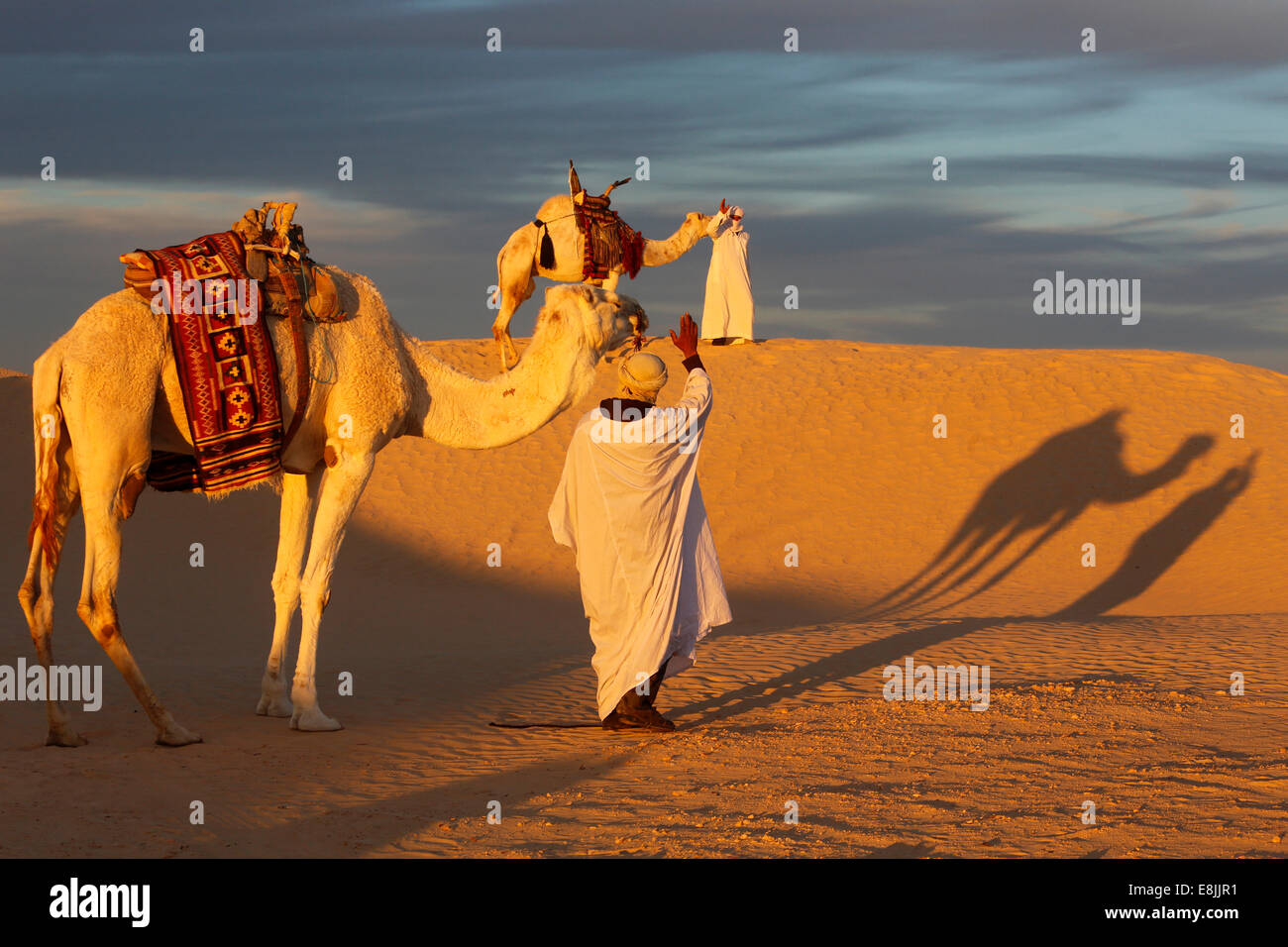 I driver di cammello riuniti nel Sahara Foto Stock
