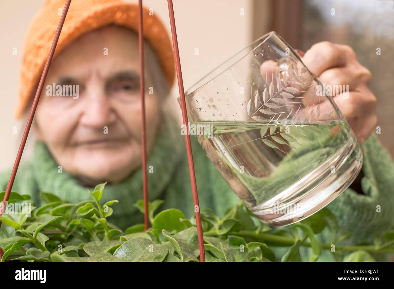 Donna anziana versando acqua su fiori. Immagine con profondità di campo ridotta. Foto Stock