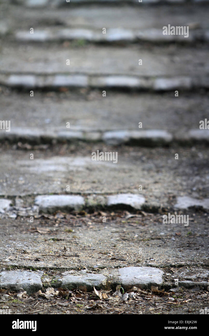 Gradini di una scala in un cimitero di Parigi. PRe Lachaise. Foto Stock