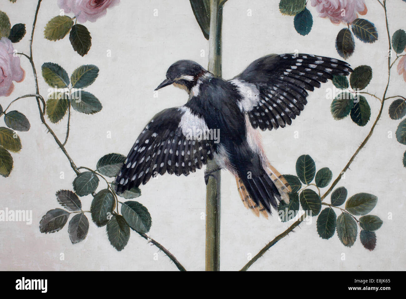 Museo Hermitage. La loggia di Raffaello. Bird. Foto Stock