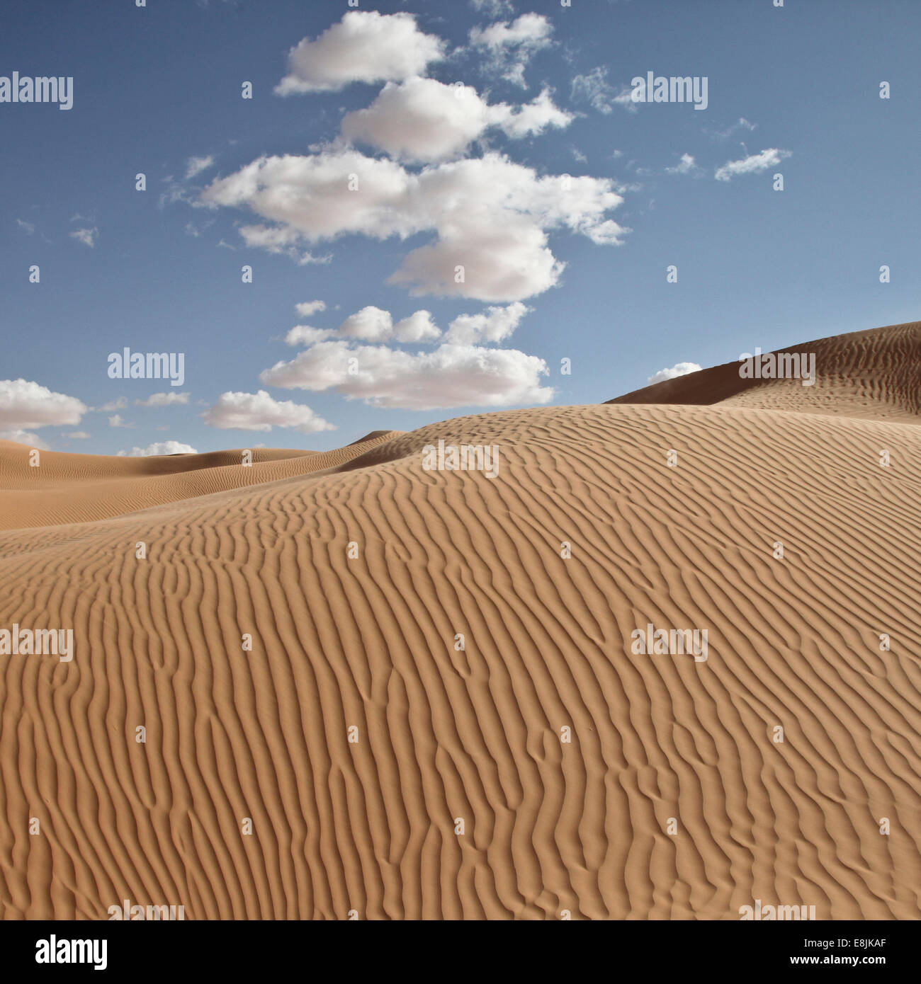 Dune di sabbia nel deserto del Sahara Foto Stock
