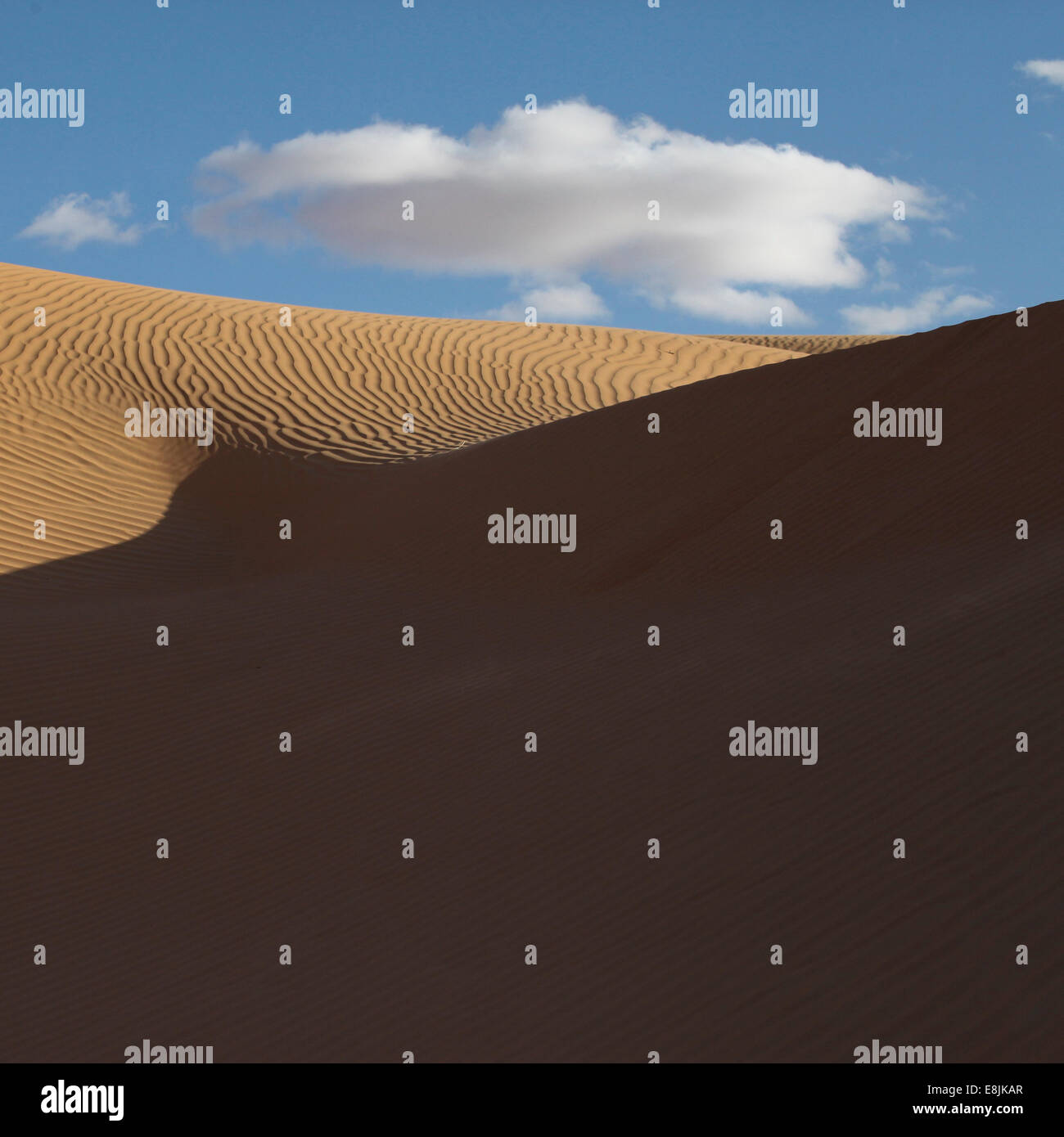 Le dune di sabbia nel deserto del Sahara Foto Stock