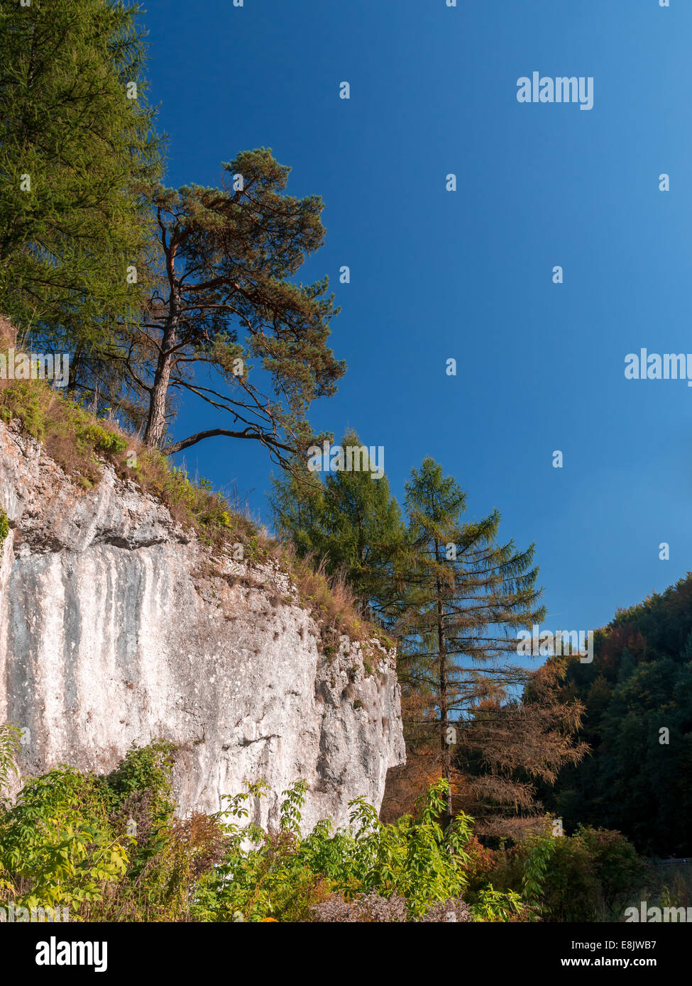 Ojcow Parco nazionale con le rocce calcaree nel periodo autunnale, parte di Krakow-Czestochowa Upland, Polonia Foto Stock