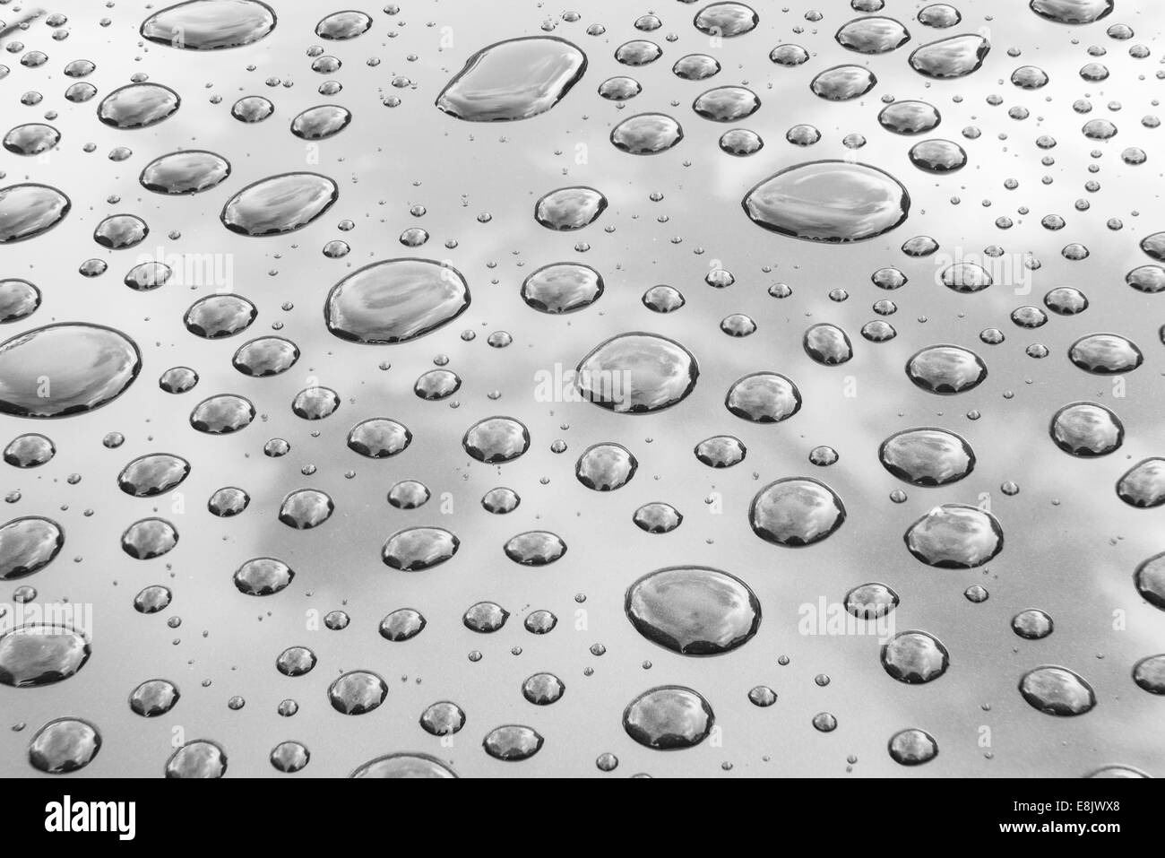 Le goccioline di acqua sul tetto di una vettura dopo una pioggia. Foto Stock