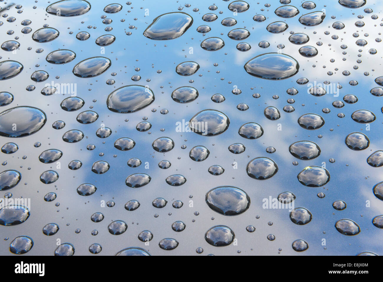 Le goccioline di acqua sul tetto di una vettura dopo una pioggia. Foto Stock