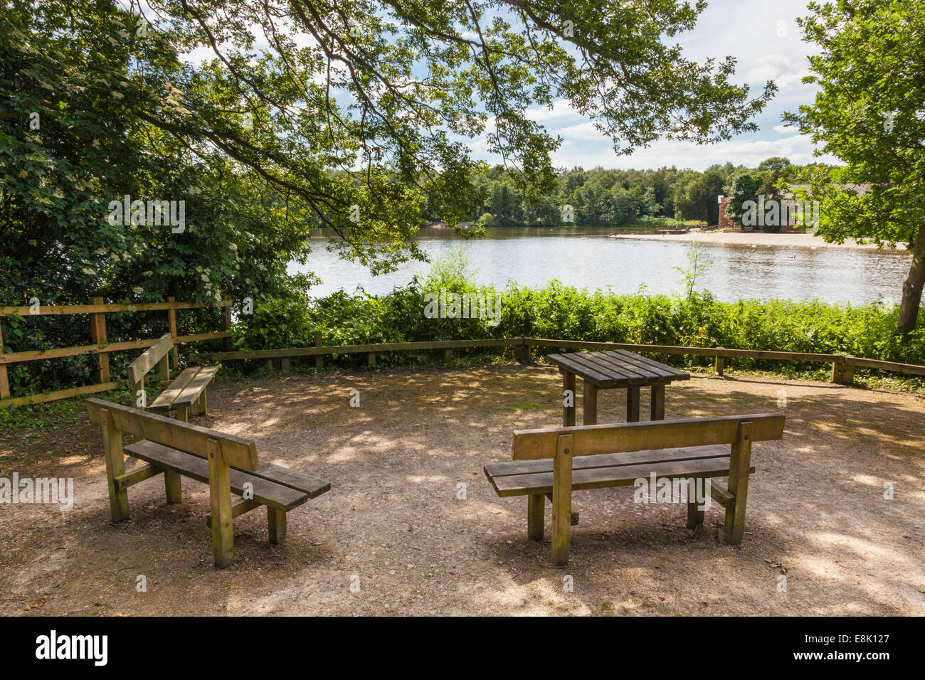 Bosco ombreggiato lakeside area picnic con tavolo e i sedili a panchina accanto a Rufford lago a Rufford abbazia Country Park, Nottinghamshire, England, Regno Unito Foto Stock