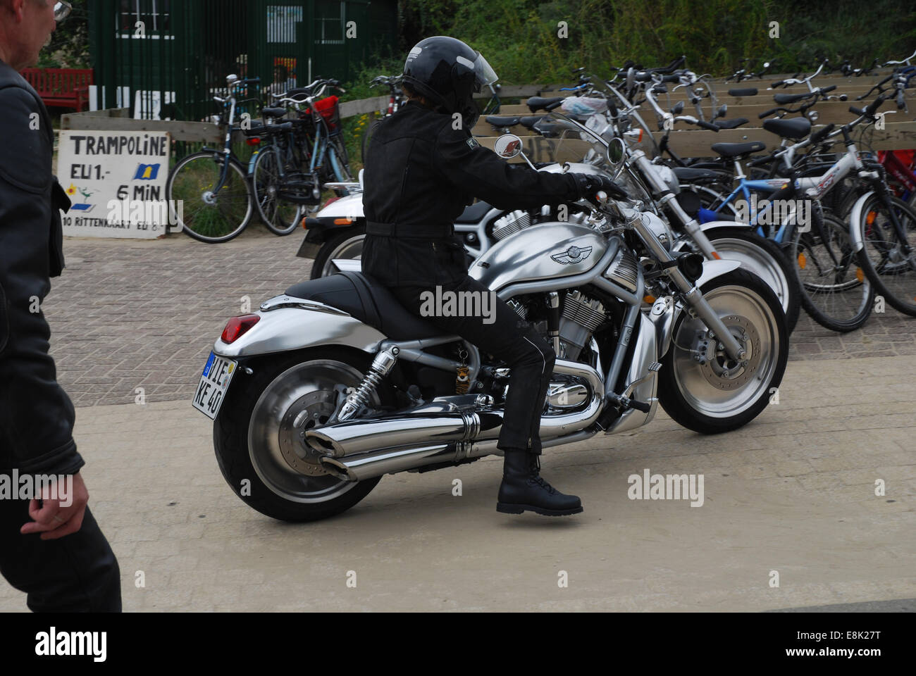 VRSCA V-Rod Harley Davidson, 2003 modello Giubileo per celebrare i 100 anni di HD, Zeeland Paesi Bassi Foto Stock