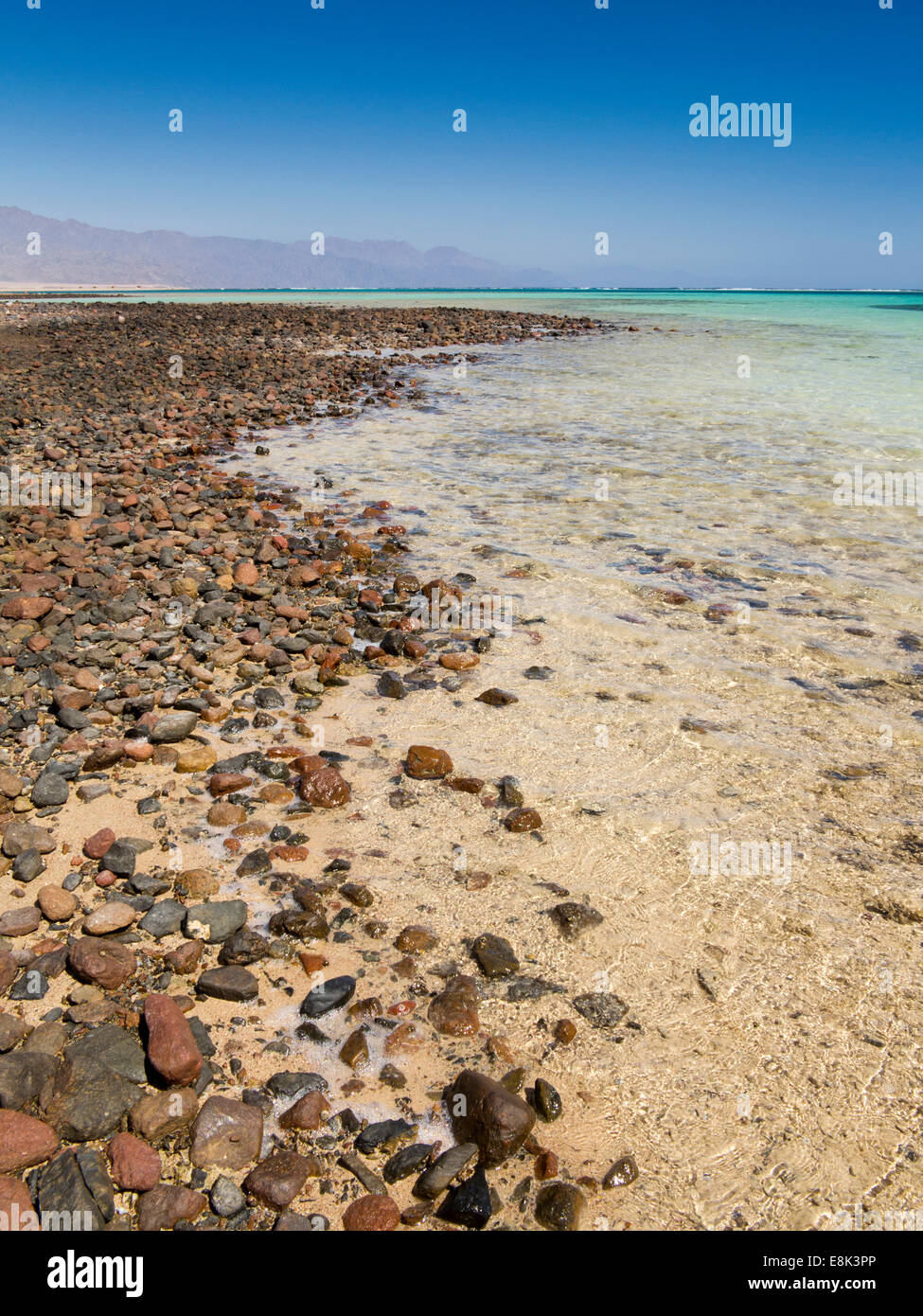 L'Egitto, il Sinai Sharm el Sheikh, Parco Nazionale di Nabq, Golfo di Aqaba, Mar Rosso litorale Foto Stock