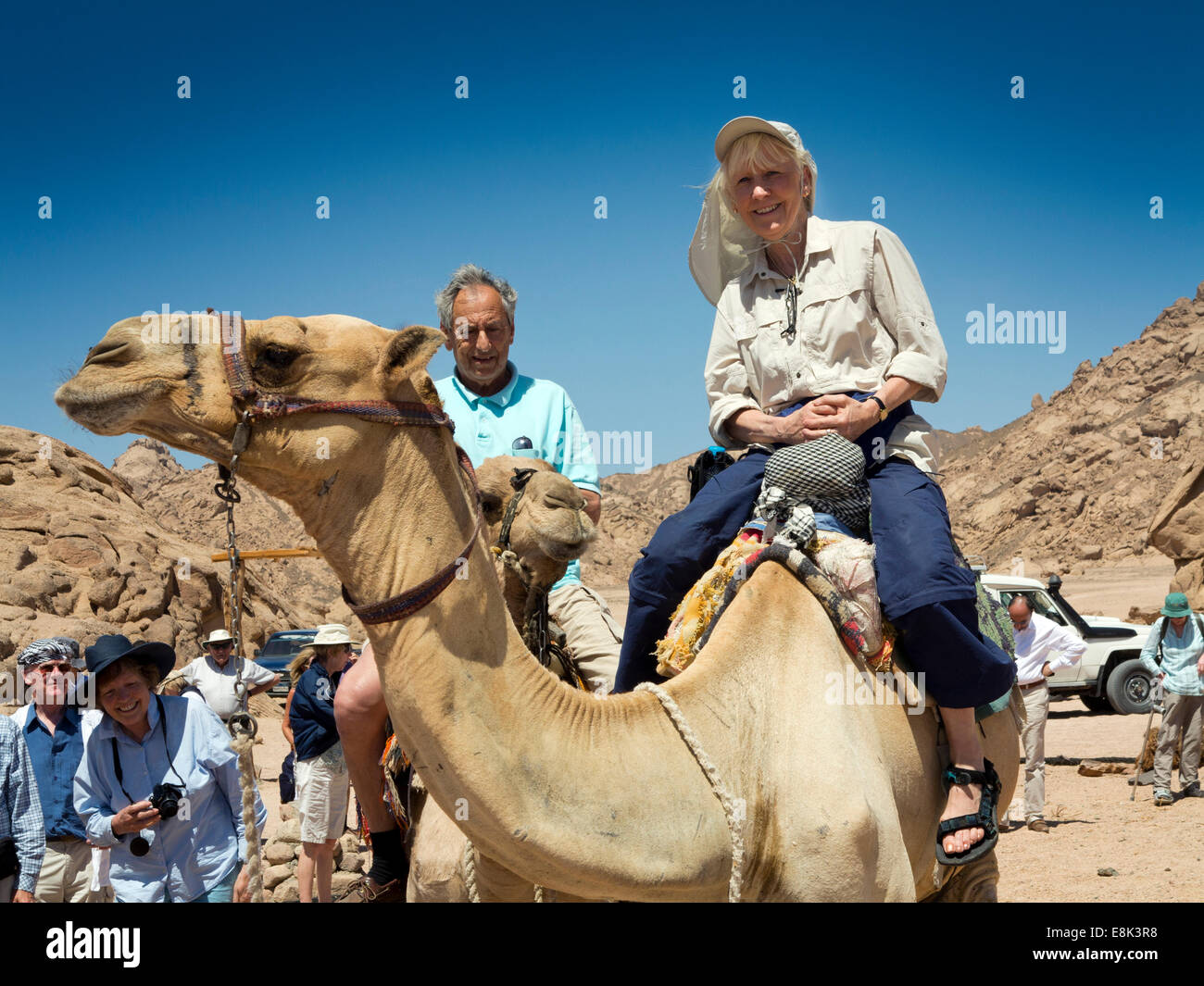 L'Egitto, il Sinai Sharm el Sheikh, Parco Nazionale di Nabq, senior turista godendo di corsa in cammello Foto Stock