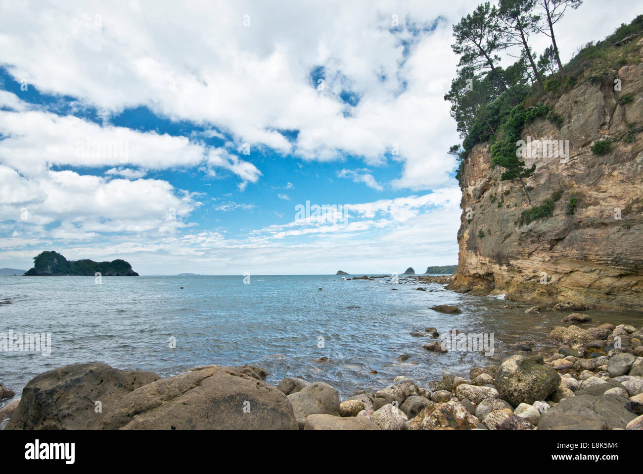 Nuova Zelanda, Isola del nord, la Penisola di Coromandel, Gemma Bay (formato di grandi dimensioni disponibili) Foto Stock