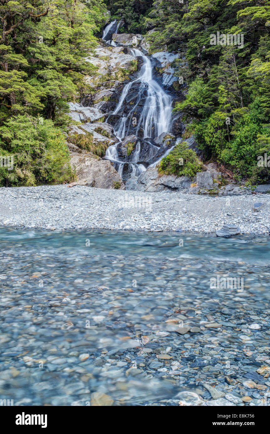 Nuova Zelanda, Isola del Sud, Mt. Gli aspiranti National Park, ventola scende di coda (formato di grandi dimensioni disponibili) Foto Stock