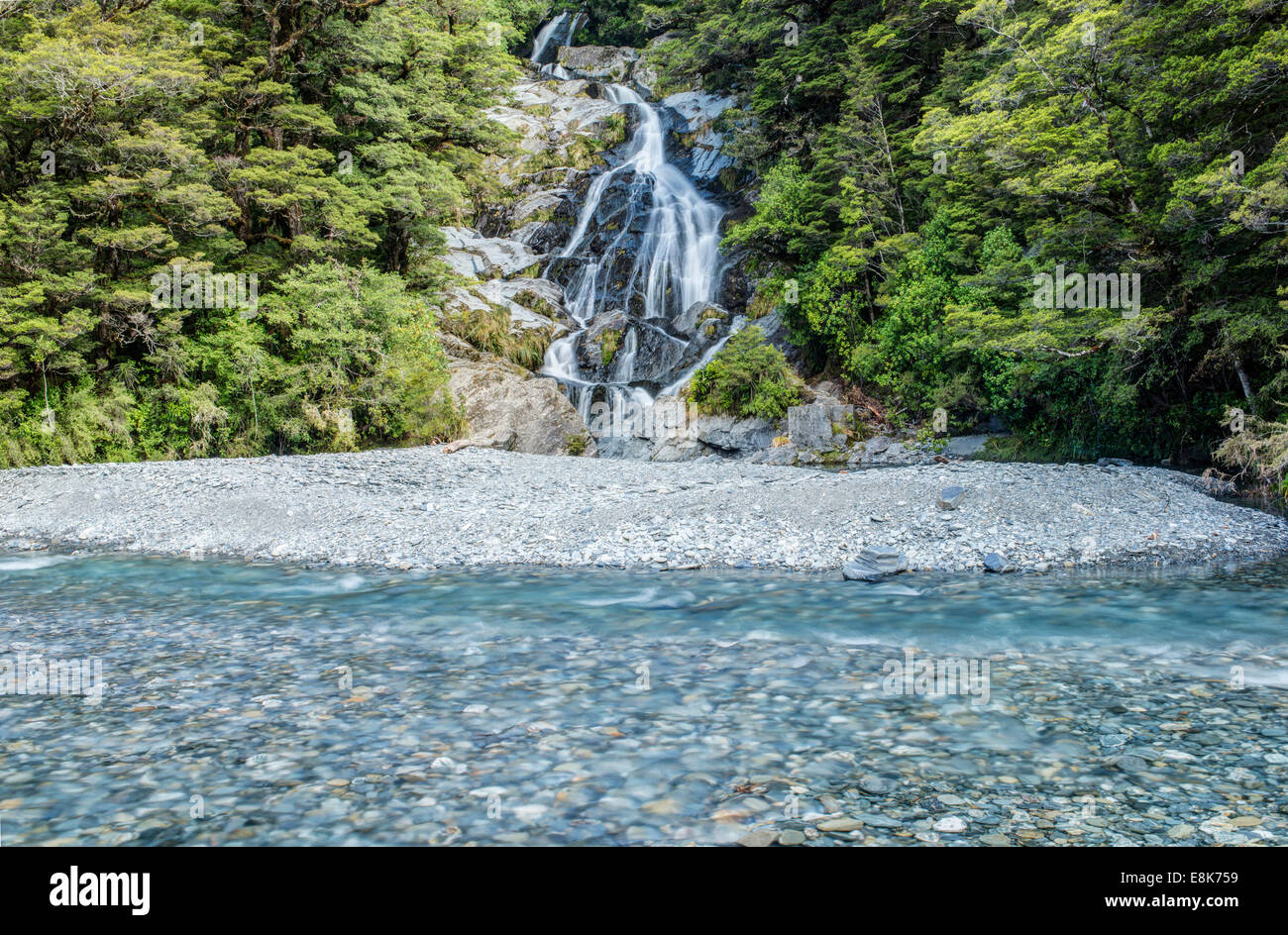 Nuova Zelanda, Isola del Sud, Mt. Gli aspiranti National Park, ventola scende di coda (formato di grandi dimensioni disponibili) Foto Stock