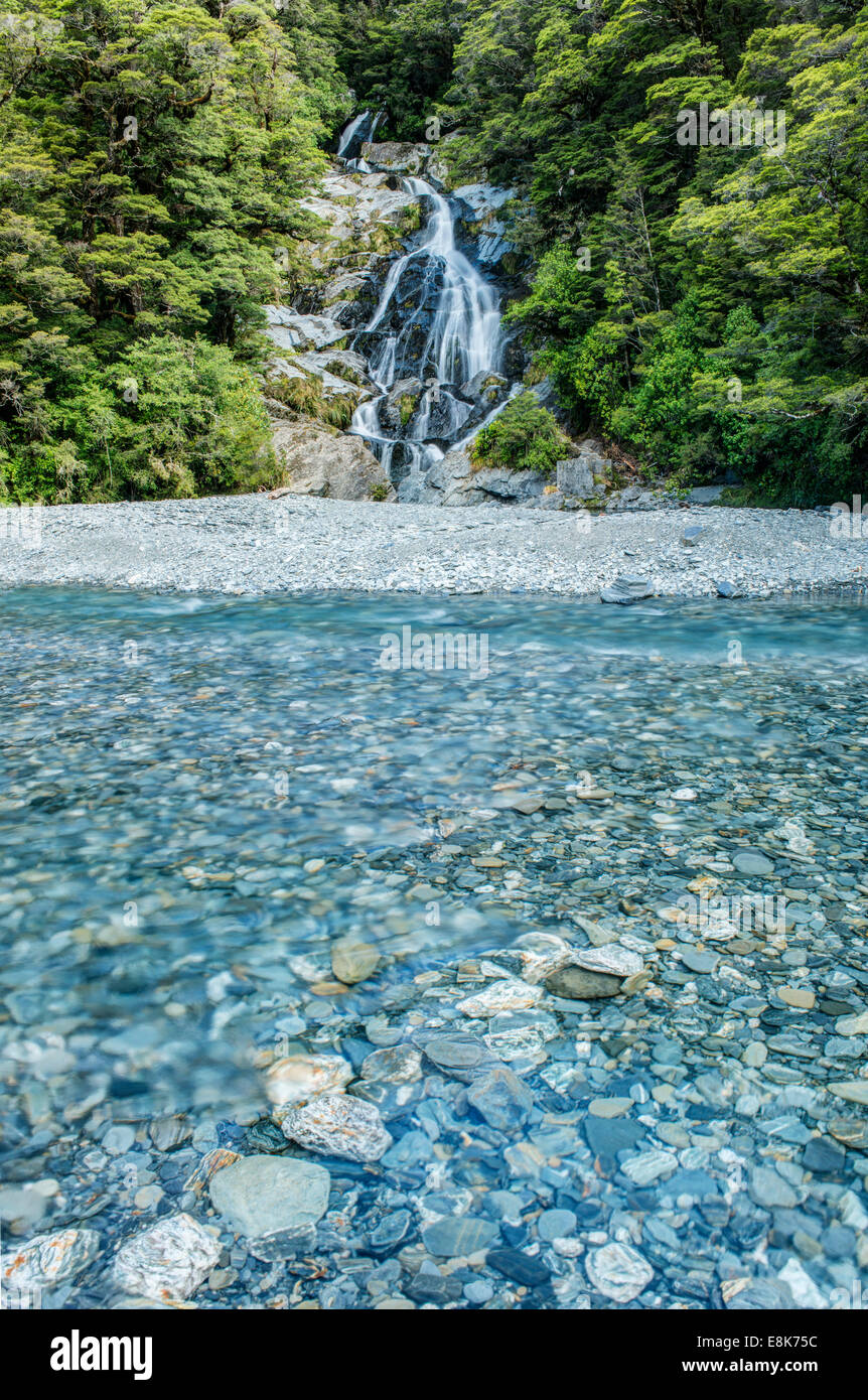 Nuova Zelanda, Isola del Sud, Mt. Gli aspiranti National Park, ventola scende di coda (formato di grandi dimensioni disponibili) Foto Stock