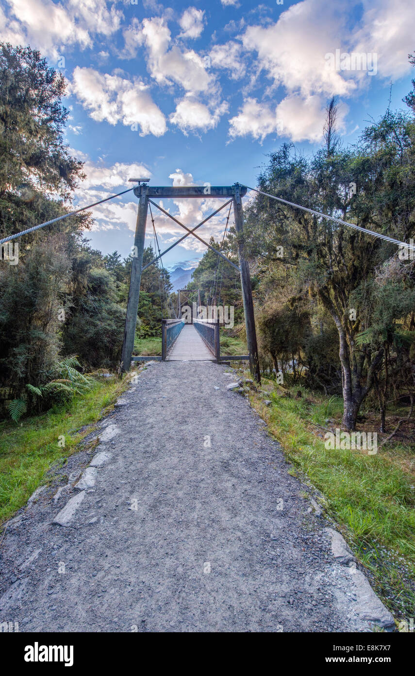 Nuova Zelanda, Isola del Sud, Westland National Park, Ponte Sospeso sul lago Matheson via (formato di grandi dimensioni disponibili) Foto Stock