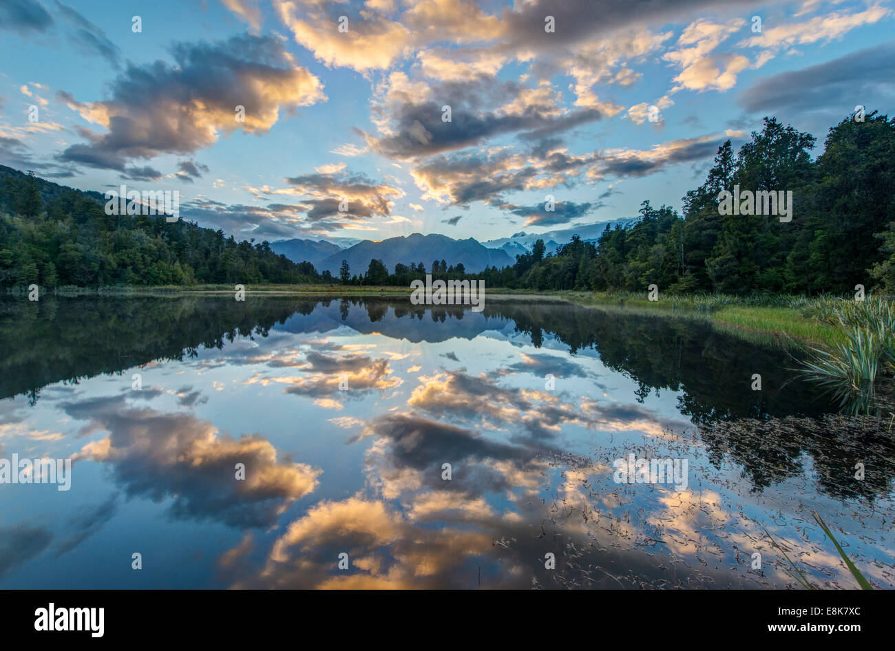 Nuova Zelanda, Isola del Sud, Westland National Park, Lago Matheson Alba (formato di grandi dimensioni disponibili) Foto Stock