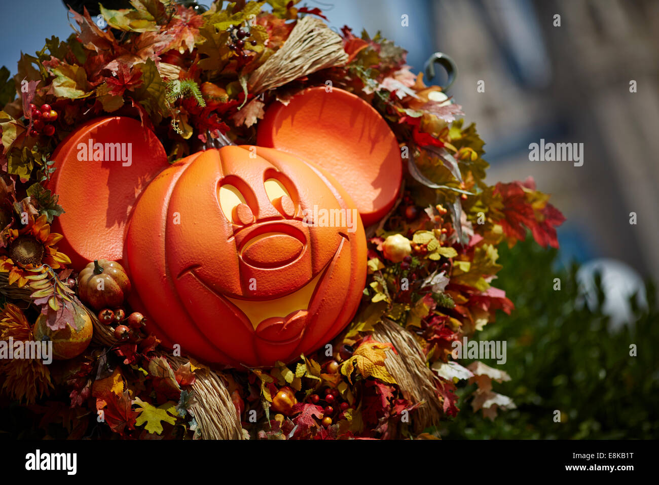 Florida USA Disneyland halloween street decorazione di Micky Mouse intagliare una zucca Foto Stock