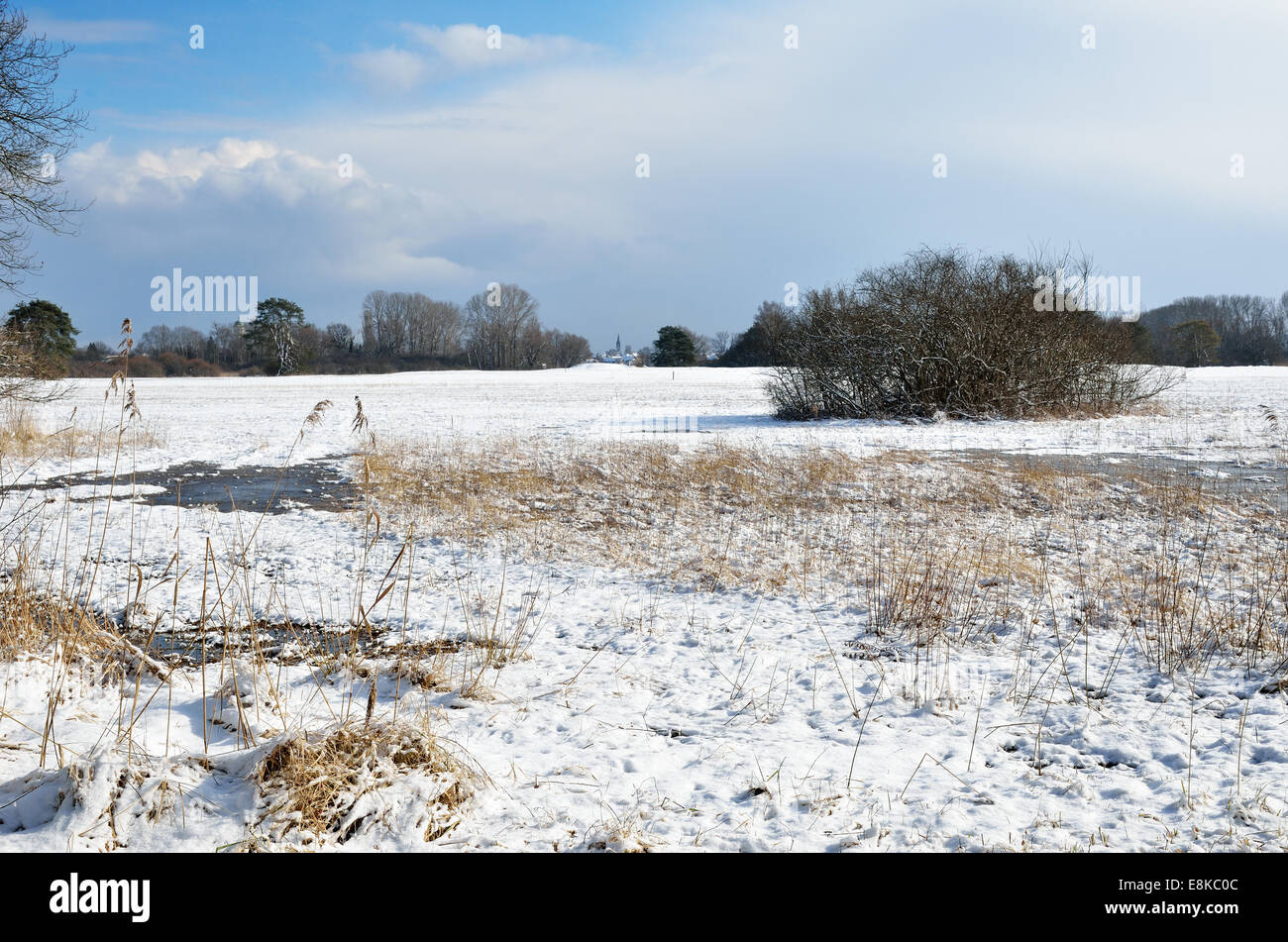 Prato di acqua sotto la neve di luce Foto Stock