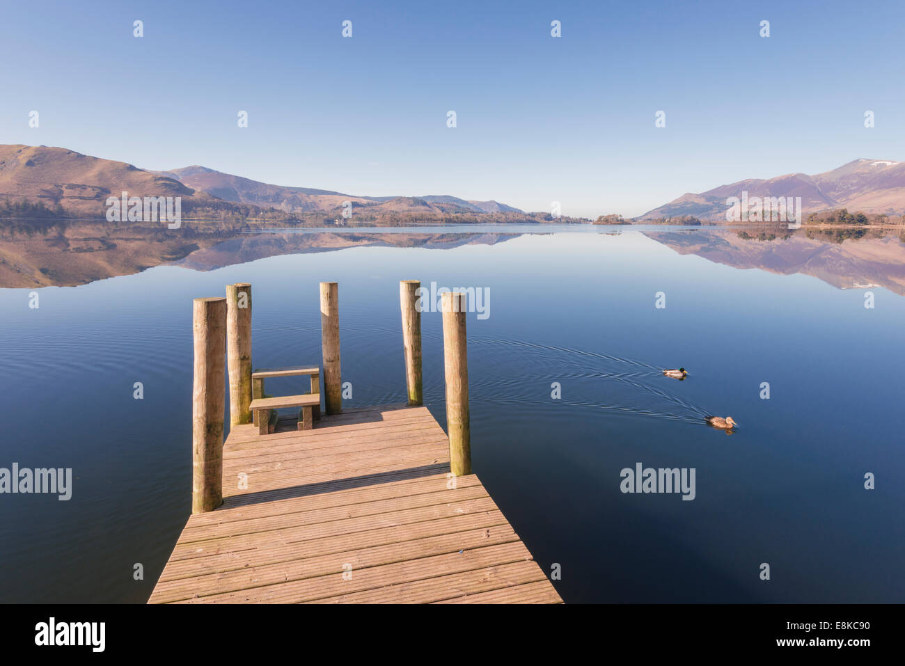 Un molo nella luce del mattino con due anatre. Foto Stock