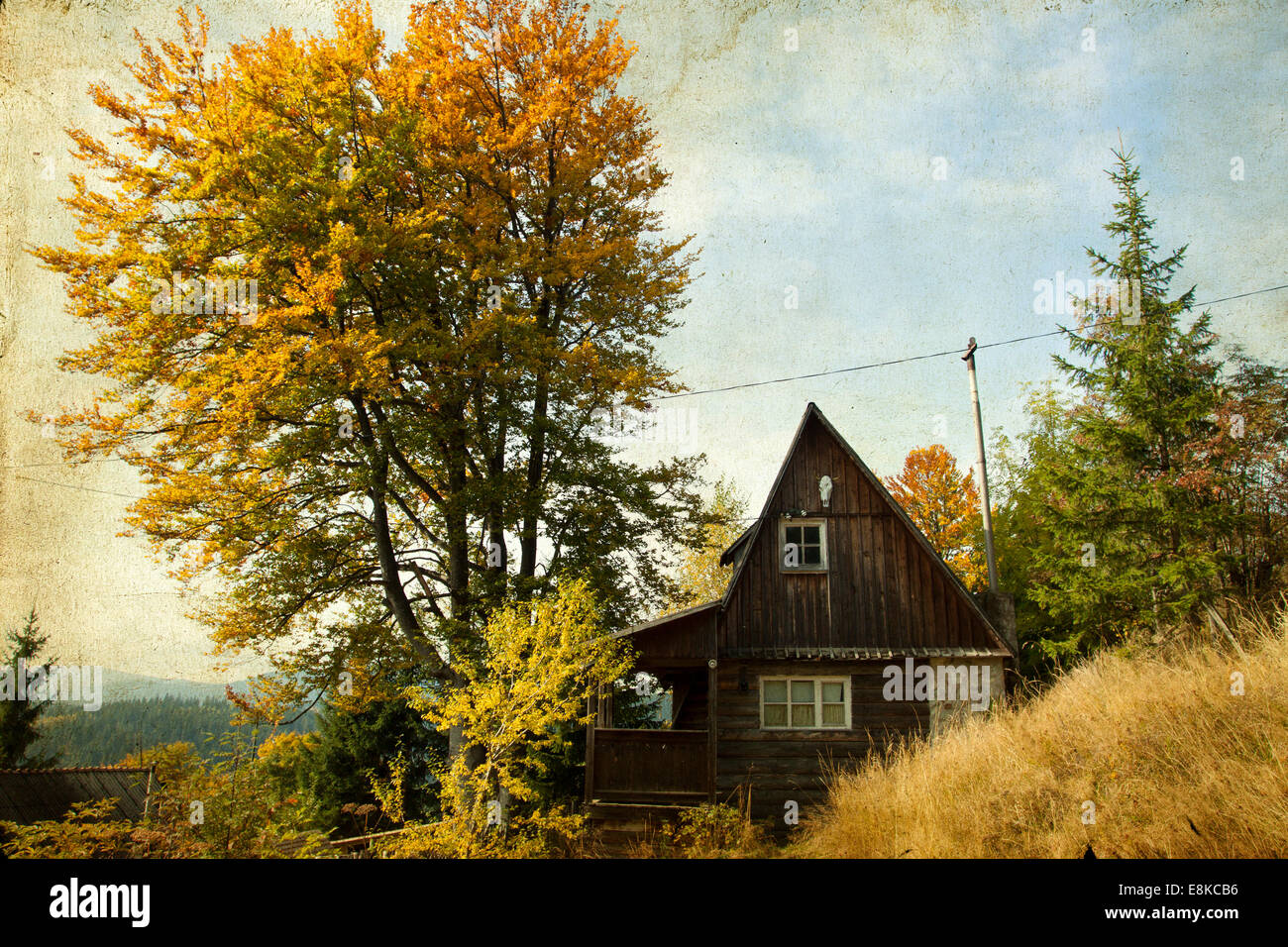 Piccolo cottage nella foresta di autunno Foto Stock
