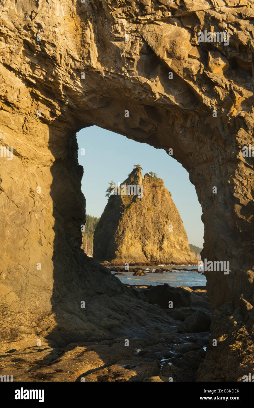 Vista della pila del mare attraverso il foro-in-Wall arco naturale, Rialto Beach, Parco Nazionale di Olympic, Washington Foto Stock