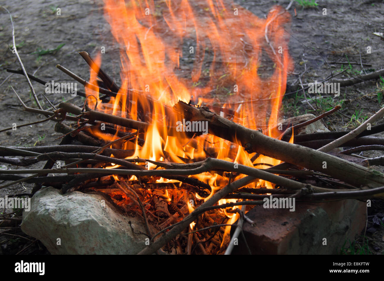 Fuoco luminose nella foresta Foto Stock