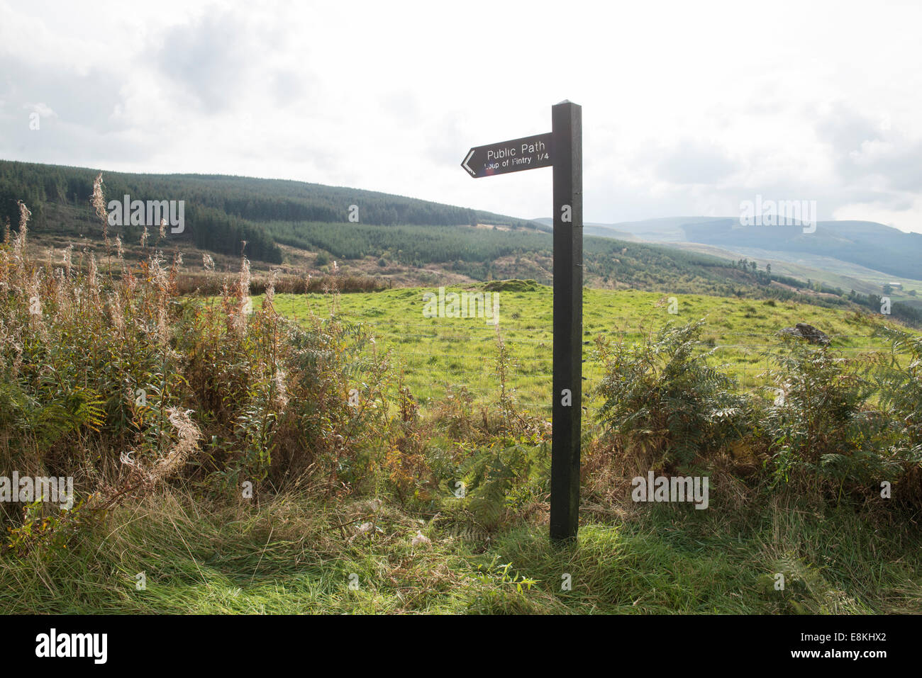 Un pubblico di legno segno di percorso nella campagna scozzese. La marcatura del Loup di Fintry paese a piedi. Foto Stock