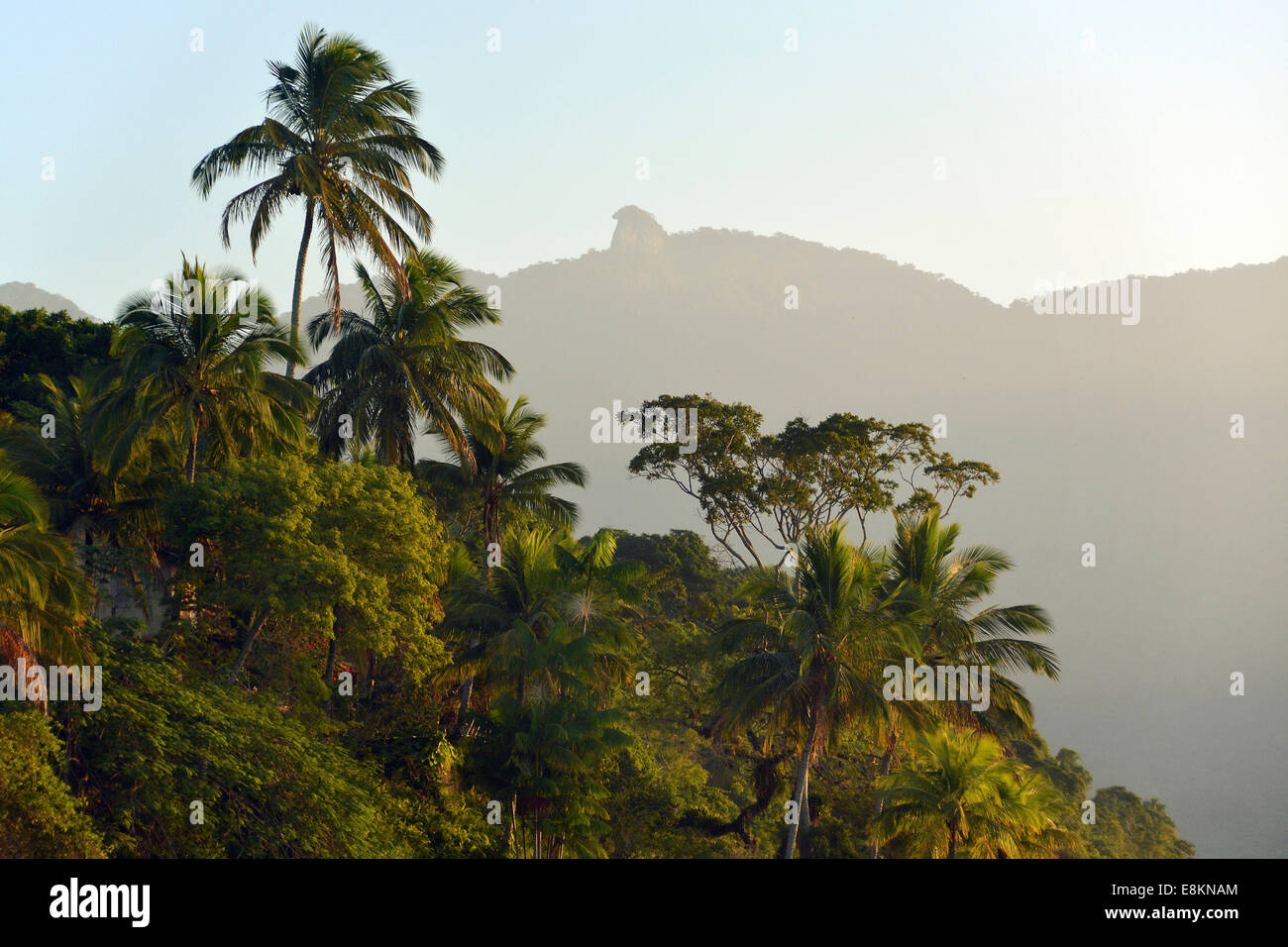 Foresta pluviale costiera della Costa Verde del Brasile con il Monte Pico do Papagaio, Ilha Grande, Stato di Rio de Janeiro, Brasile Foto Stock