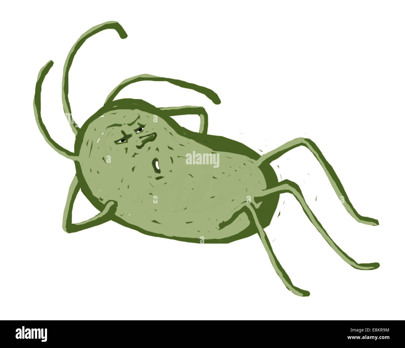 Un batterio cattivo carattere. Foto Stock