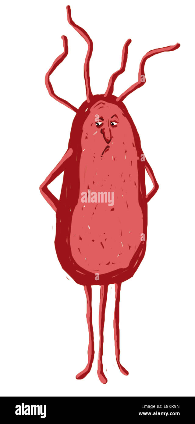 Un batterio cattivo carattere. Foto Stock