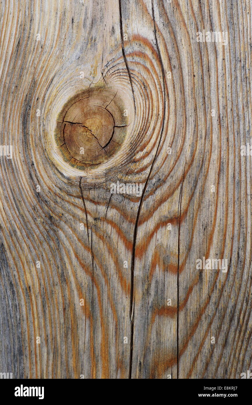 Il legno vecchio texture. Sfondo astratto di invecchiato in legno scuro Foto Stock