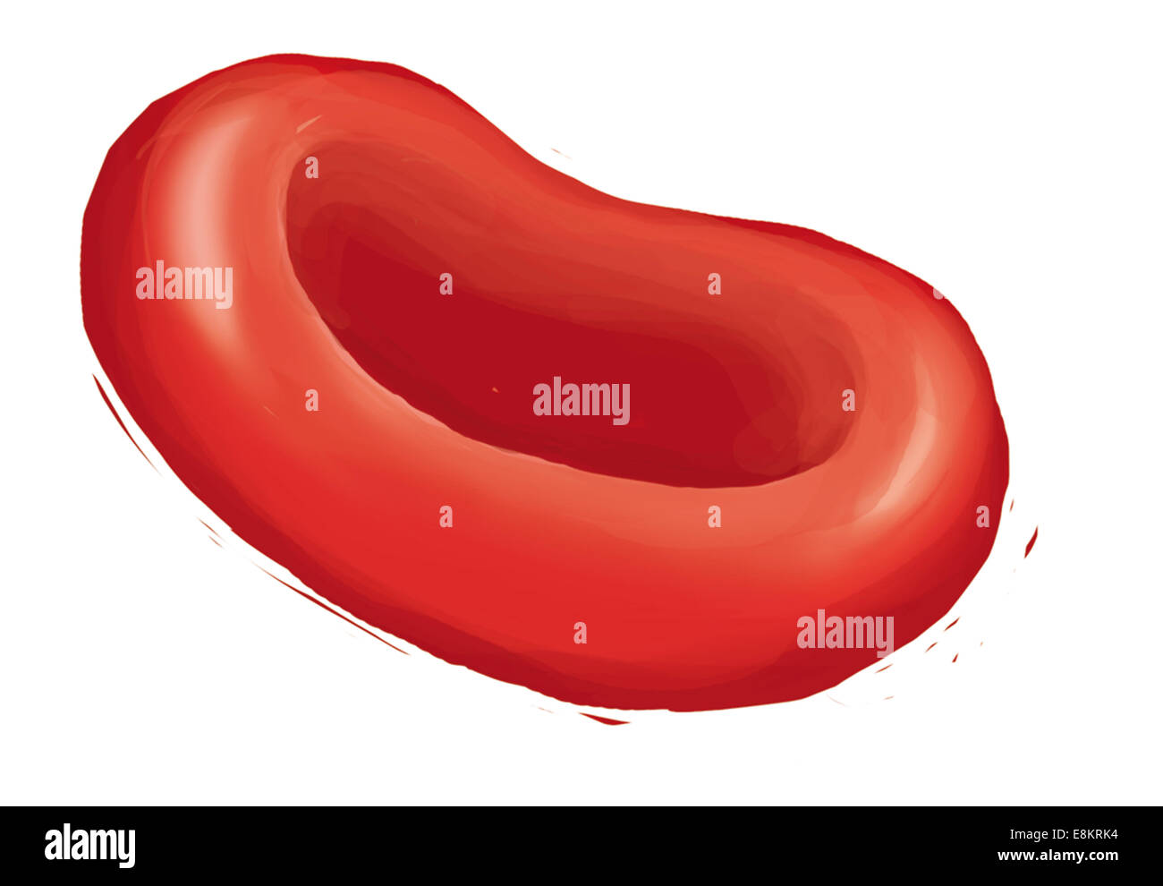 Globulo rosso. Foto Stock