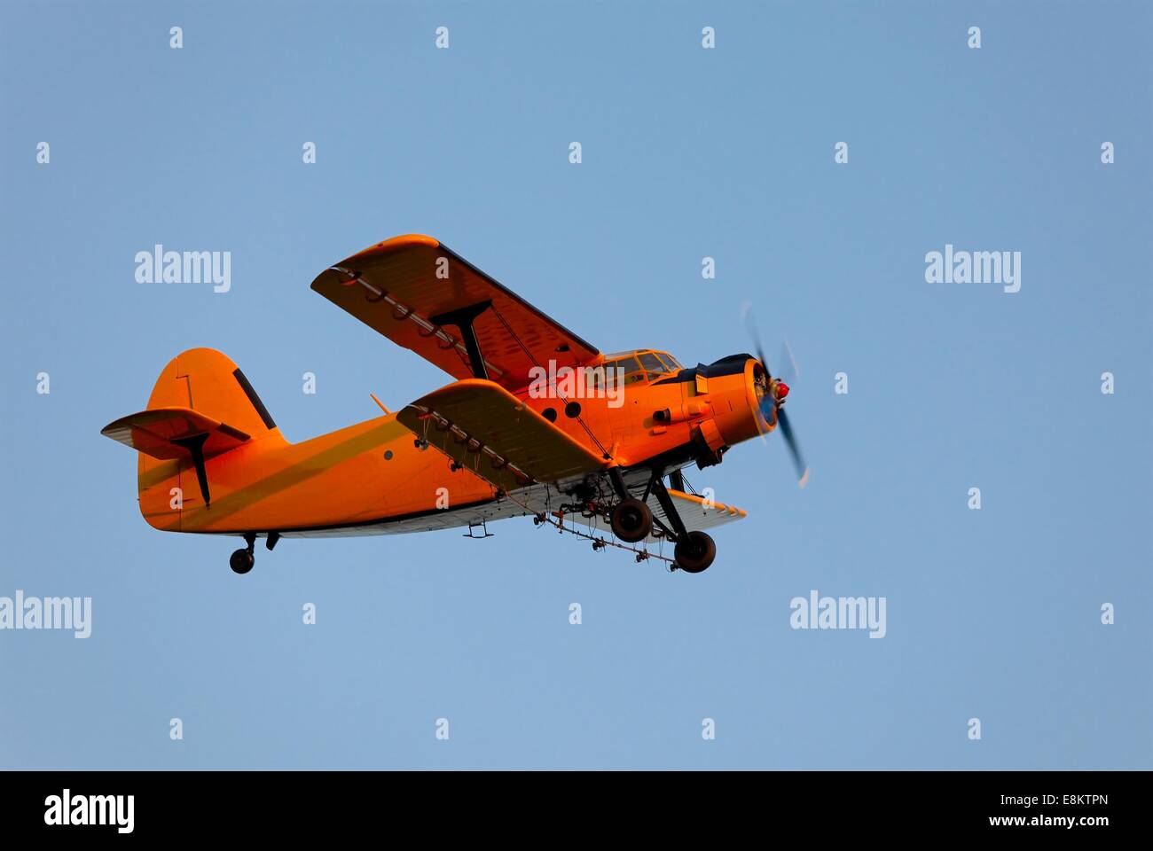 Piccolo aereo Foto Stock