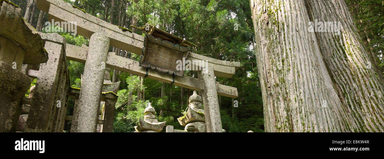 Koya-san cimitero sul Monte Koya, Giappone, Foto Stock