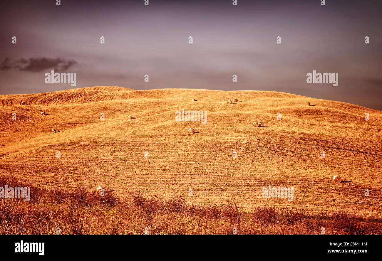 Bellissimo paesaggio autunnale, golden dry campo di grano con pagliaio su di esso, rurale panorama agricolo, la stagione del raccolto di concetto Foto Stock